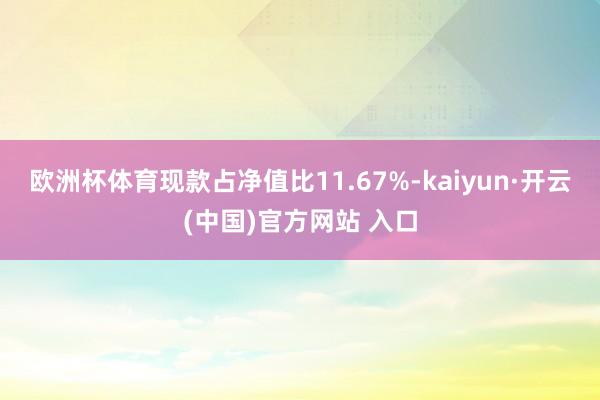 欧洲杯体育现款占净值比11.67%-kaiyun·开云(中国)官方网站 入口