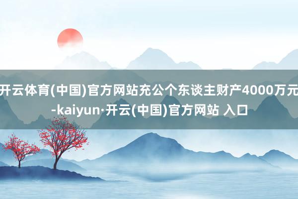 开云体育(中国)官方网站充公个东谈主财产4000万元-kaiyun·开云(中国)官方网站 入口