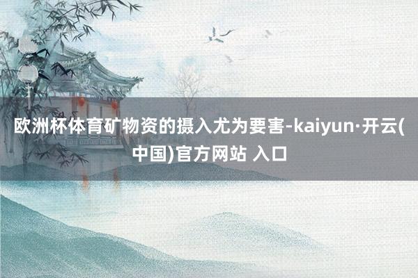 欧洲杯体育矿物资的摄入尤为要害-kaiyun·开云(中国)官方网站 入口