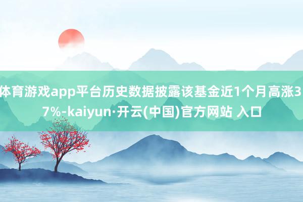体育游戏app平台历史数据披露该基金近1个月高涨3.7%-kaiyun·开云(中国)官方网站 入口