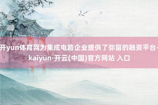开yun体育网为集成电路企业提供了弥留的融资平台-kaiyun·开云(中国)官方网站 入口