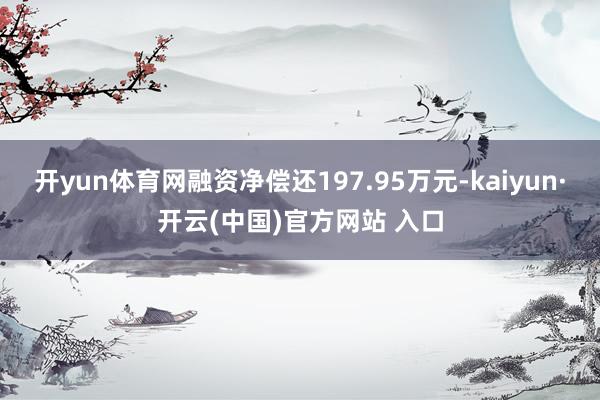 开yun体育网融资净偿还197.95万元-kaiyun·开云(中国)官方网站 入口