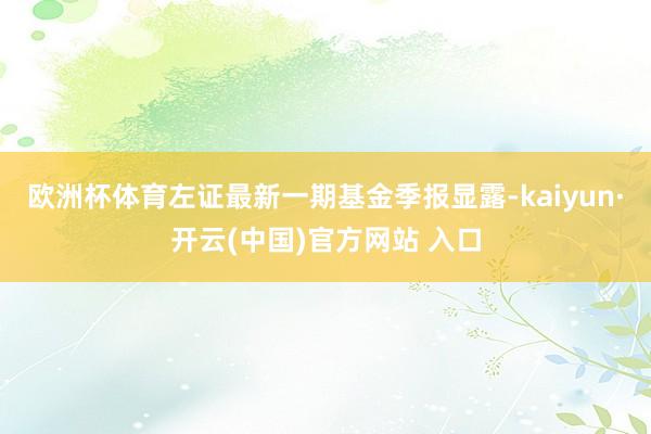 欧洲杯体育左证最新一期基金季报显露-kaiyun·开云(中国)官方网站 入口